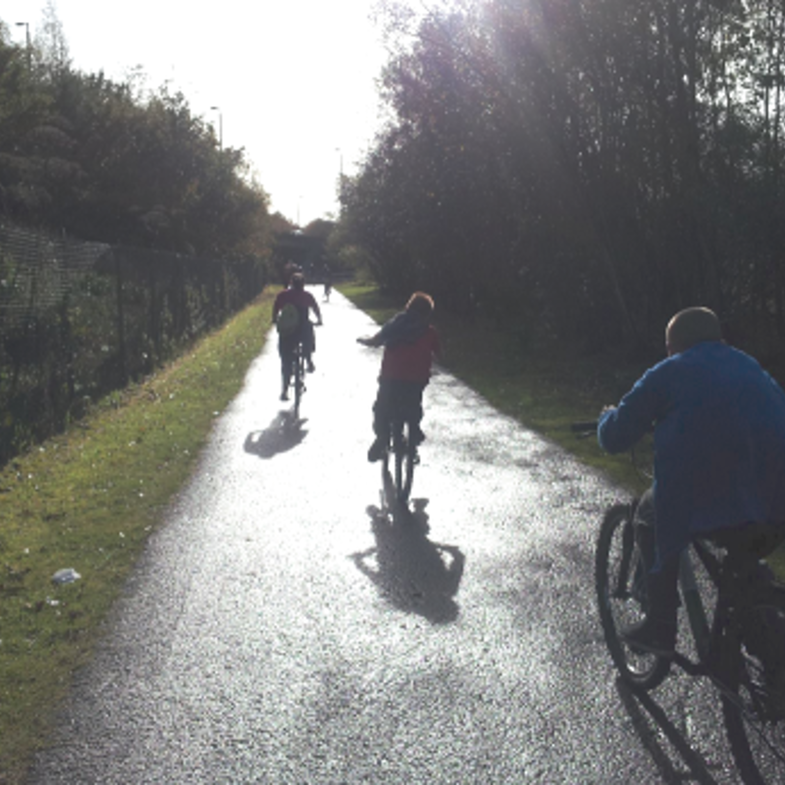 Led Rides Sunny Cycles